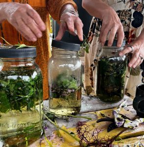 Jars of Herbal Infusions